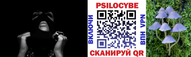 купить наркотики цена  Зима  Псилоцибиновые грибы MAGIC MUSHROOMS 